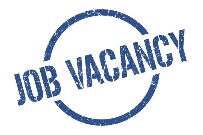 Kwara Garment Factory Job Vacancies 2024 STUDY HUB   FB IMG 16722574883758525 